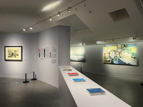 成渝藝韻·雙城交響——67件精品力作亮相四川美術(shù)館